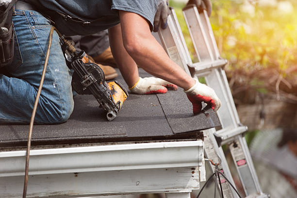 Best Shingle Roofing Installation  in Yale, MI