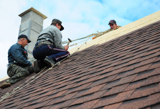 Best Roof Gutter Cleaning  in Yale, MI
